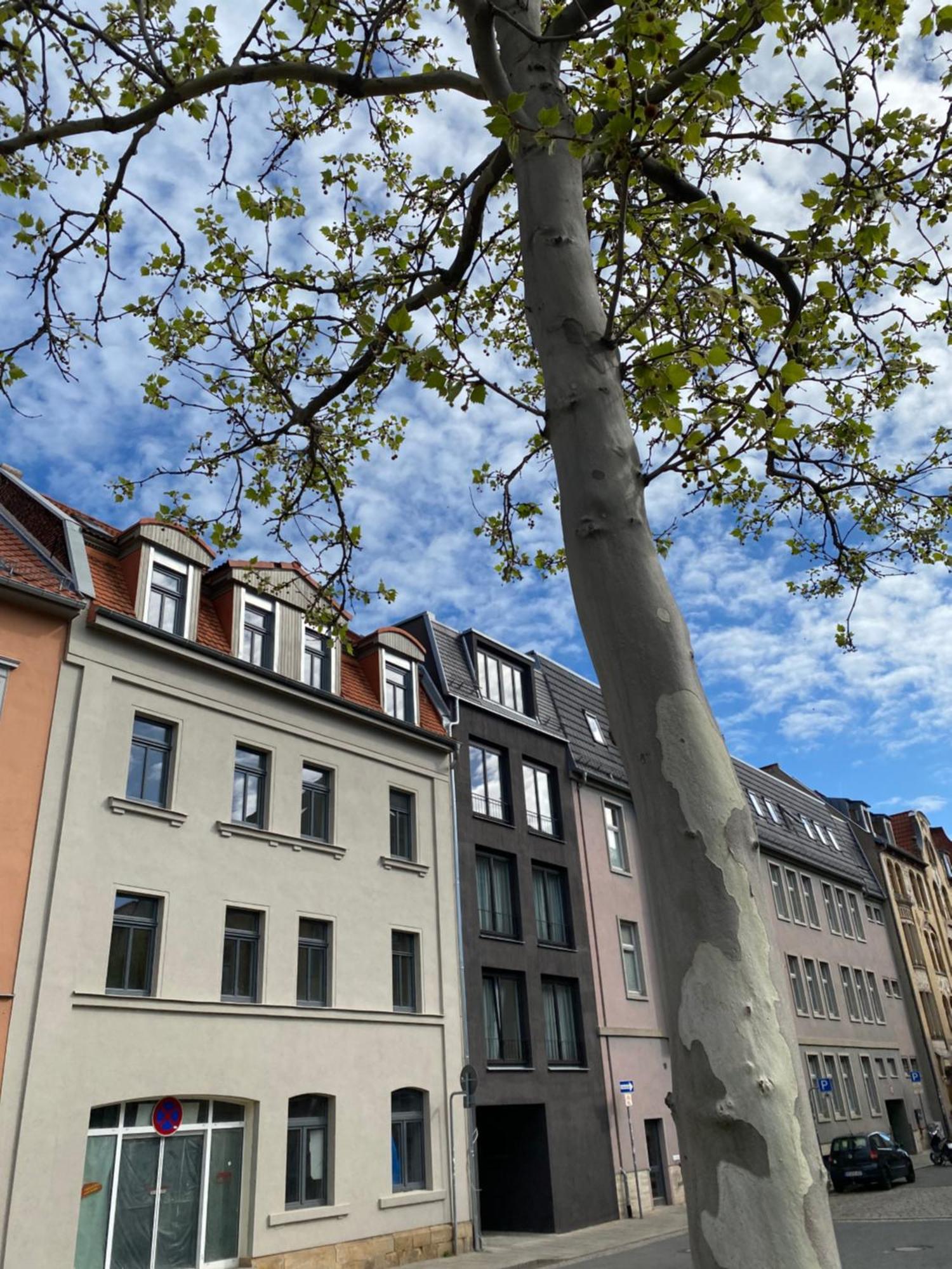 Eiwelhome - Stilvoll, Urban-Ruhig Schlafen, Bahnhofsnah, Balkon Erfurt Esterno foto